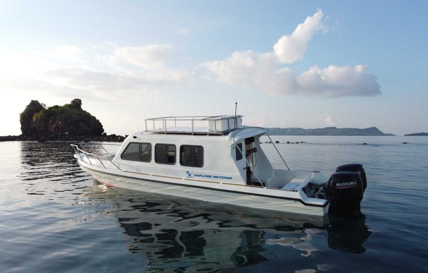 Private Komodo Island by Speedboat