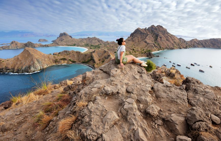 Private Komodo Island by Speedboat