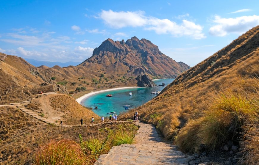 Private Komodo Island by Speedboat