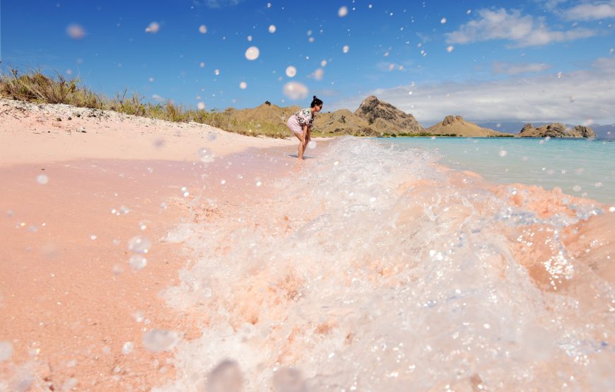 Private Komodo Island by Speedboat