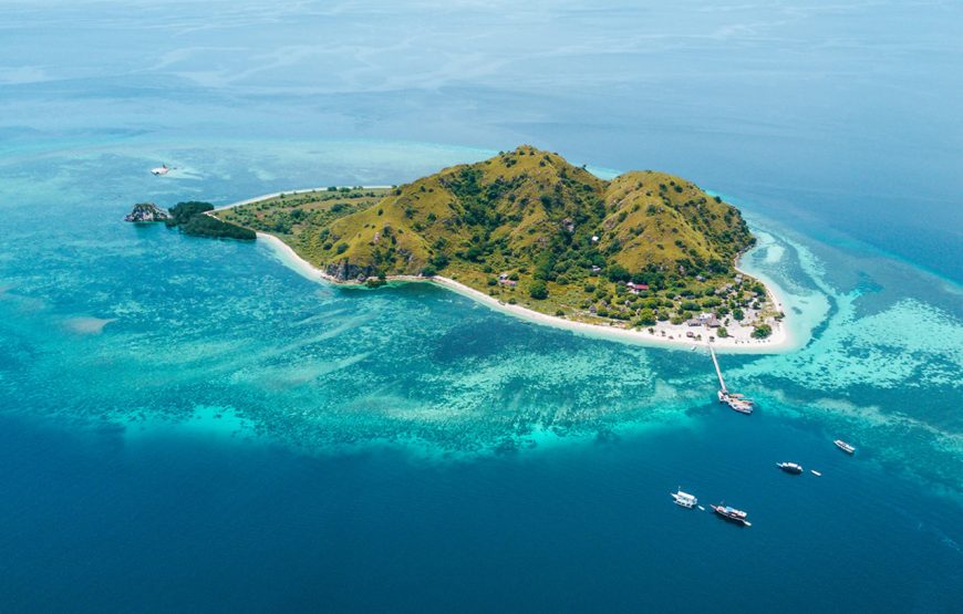 Private Komodo Island by Speedboat