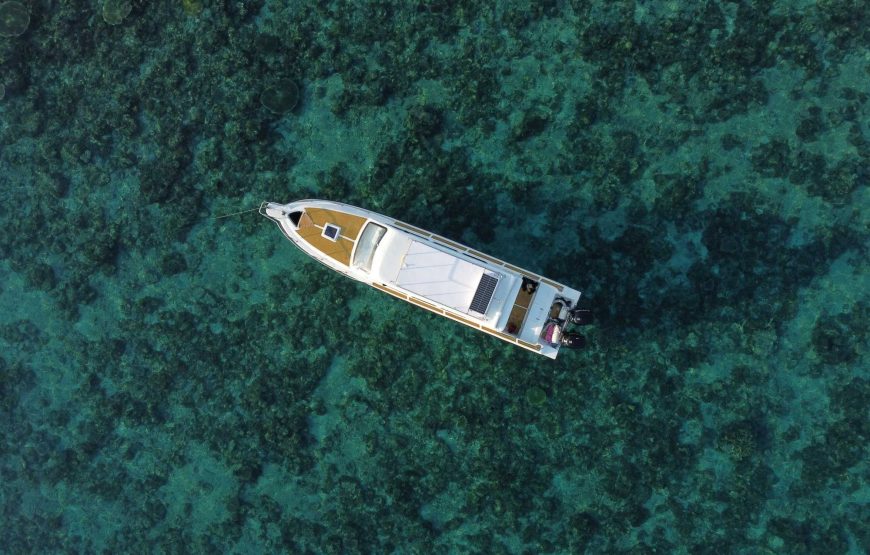 Private Komodo Island by Speedboat