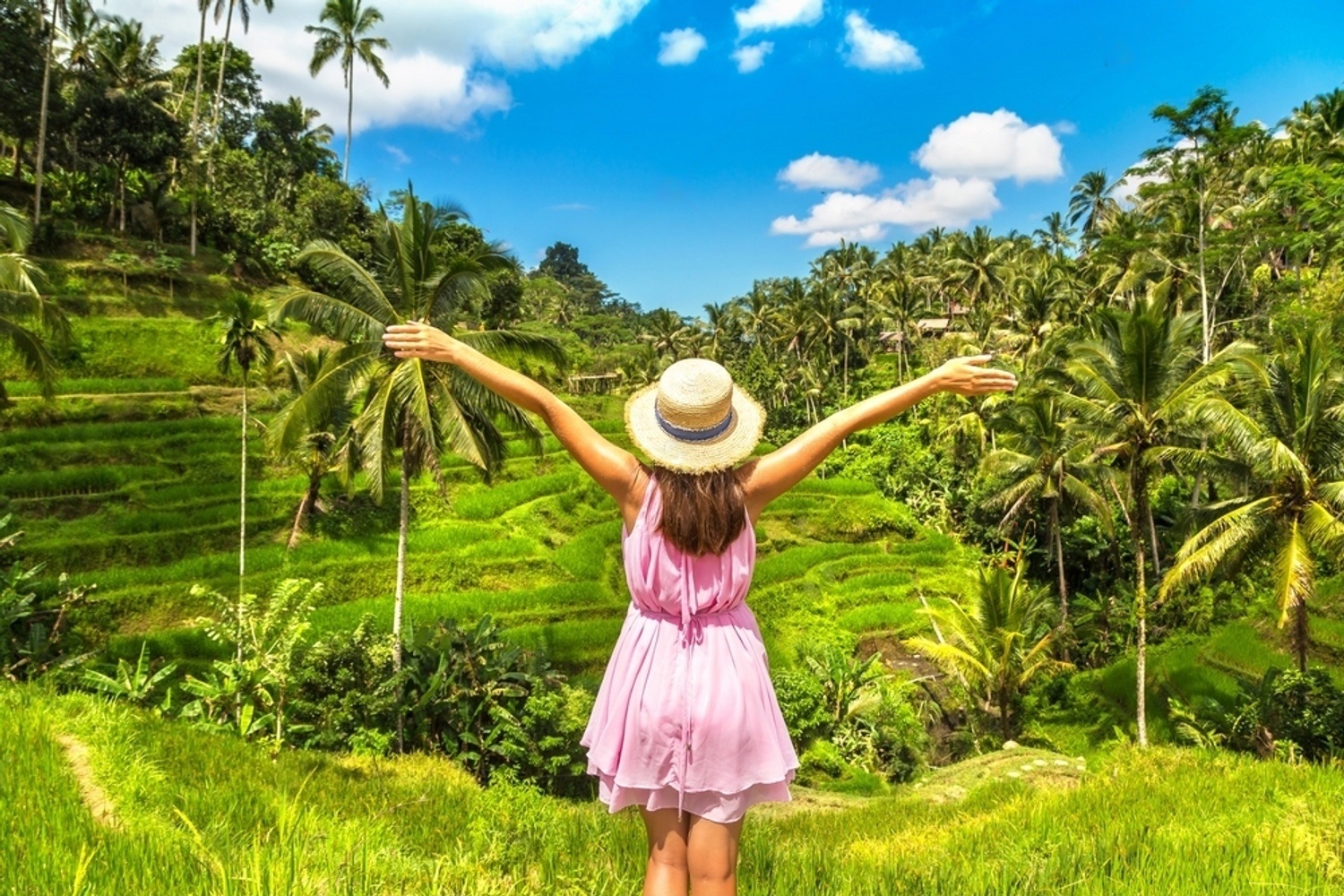 Ubud Tours