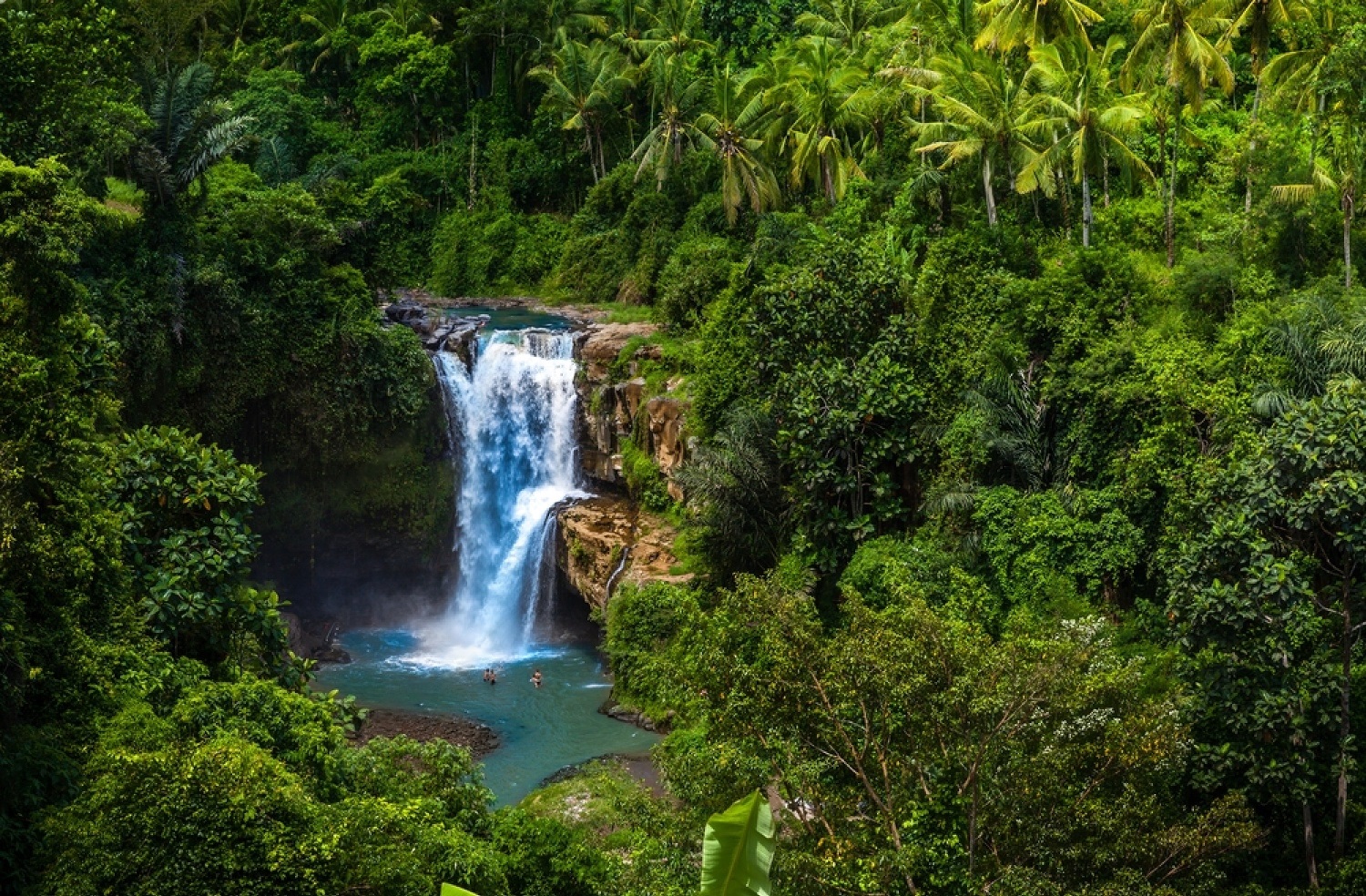 Ubud Tours